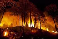 اراضی جنگلی پنج شهرستان گیلان دچار آتش سوزی شد